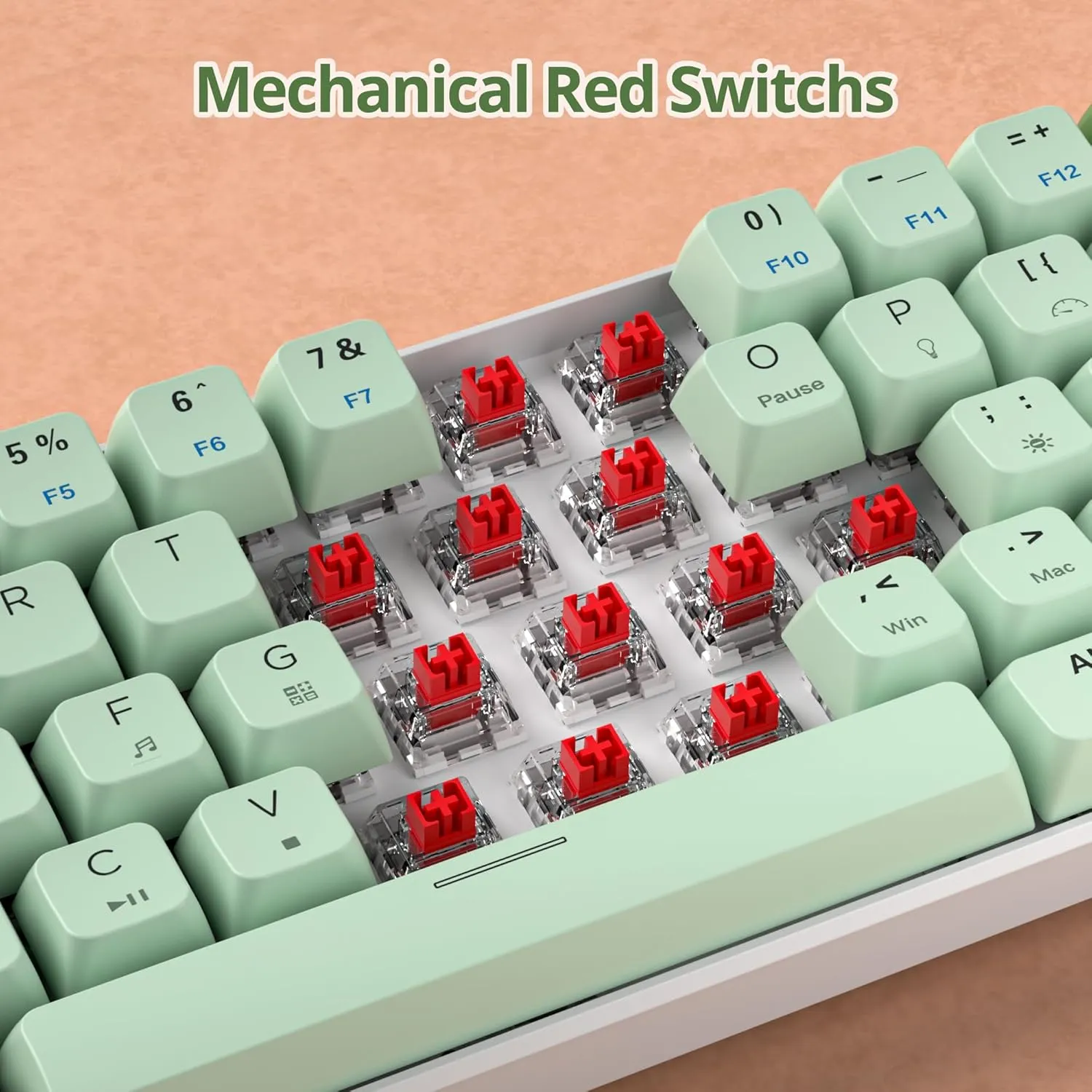 60 Percent Gaming Keyboard Green Matcha Keyboard 61 Keys Wired Mechanical Keyboard Red Switch RGB MDA Keycaps for Windows PC Laptop Gamers(61 Matcha)