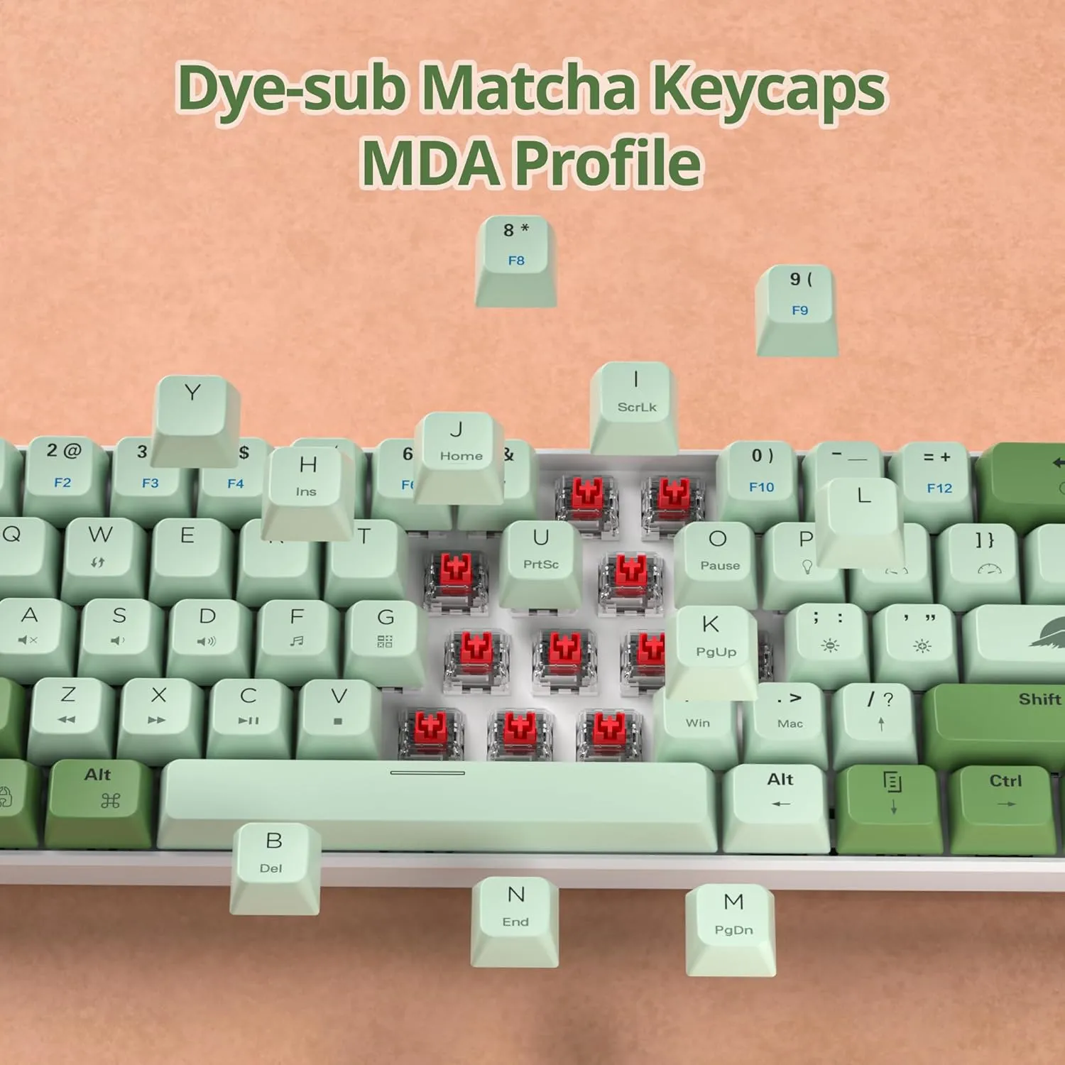 60 Percent Gaming Keyboard Green Matcha Keyboard 61 Keys Wired Mechanical Keyboard Red Switch RGB MDA Keycaps for Windows PC Laptop Gamers(61 Matcha)