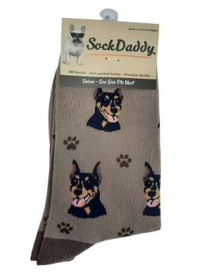 Doberman-Brown Unisex Sock-800-101