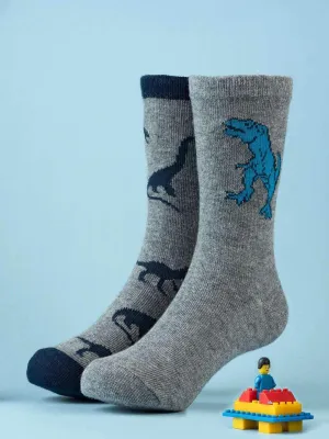 Grey Dinosaur Socks for Boys – Fun and Dino Design