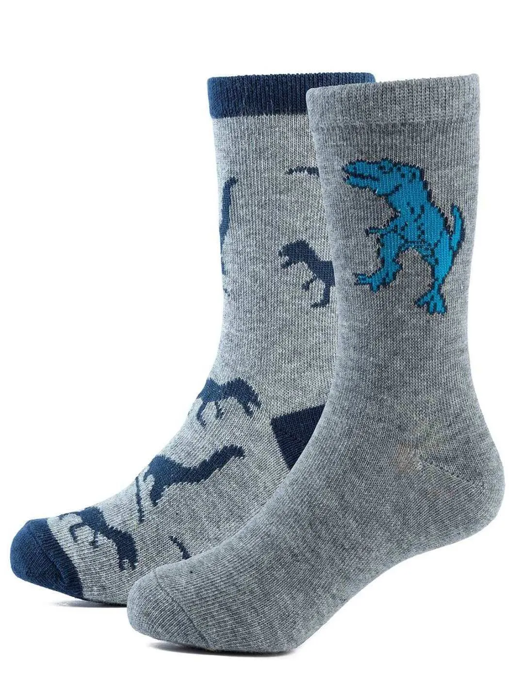 Grey Dinosaur Socks for Boys – Fun and Dino Design