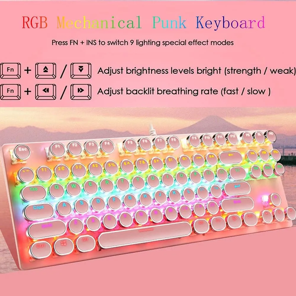 Mechanical Gaming Pink Keyboard,87 Key Retro Punk Typewriter-Style,Blue Switch RGB Backlit Keyboard,Anti-Ghosting, USB Wired, for PC Laptop Desktop Computer, for Game and Office