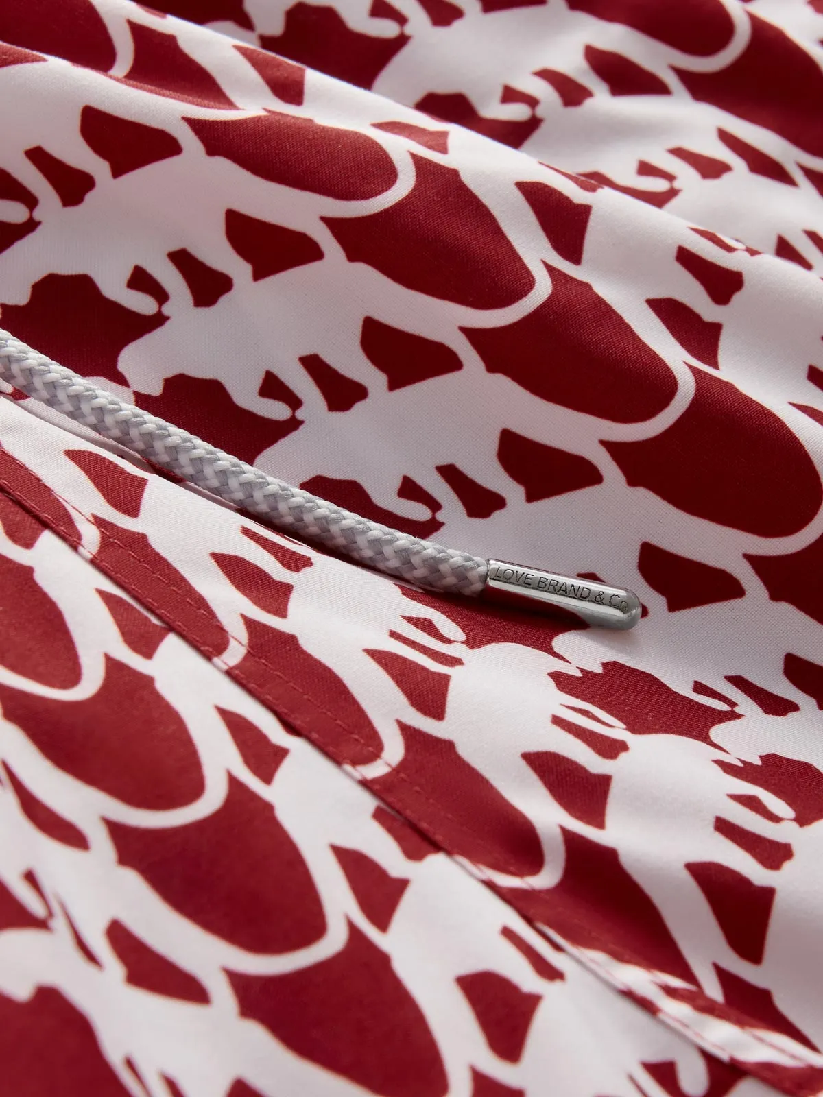Men's Lurking Leopards Staniel Swim Shorts