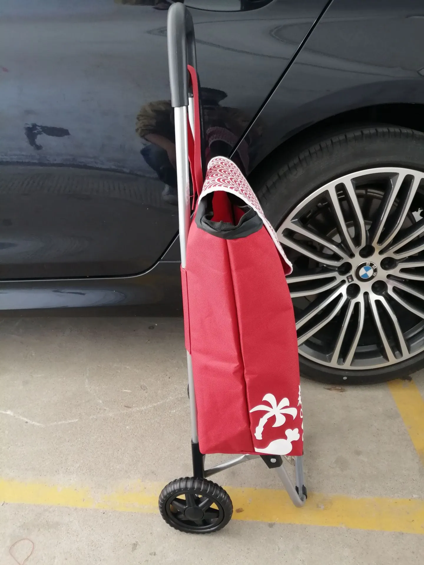 Portable trolley cart