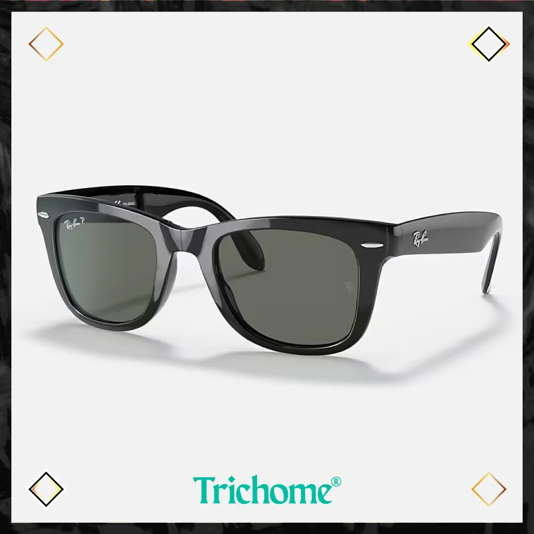 Wayfarer Folding Classic