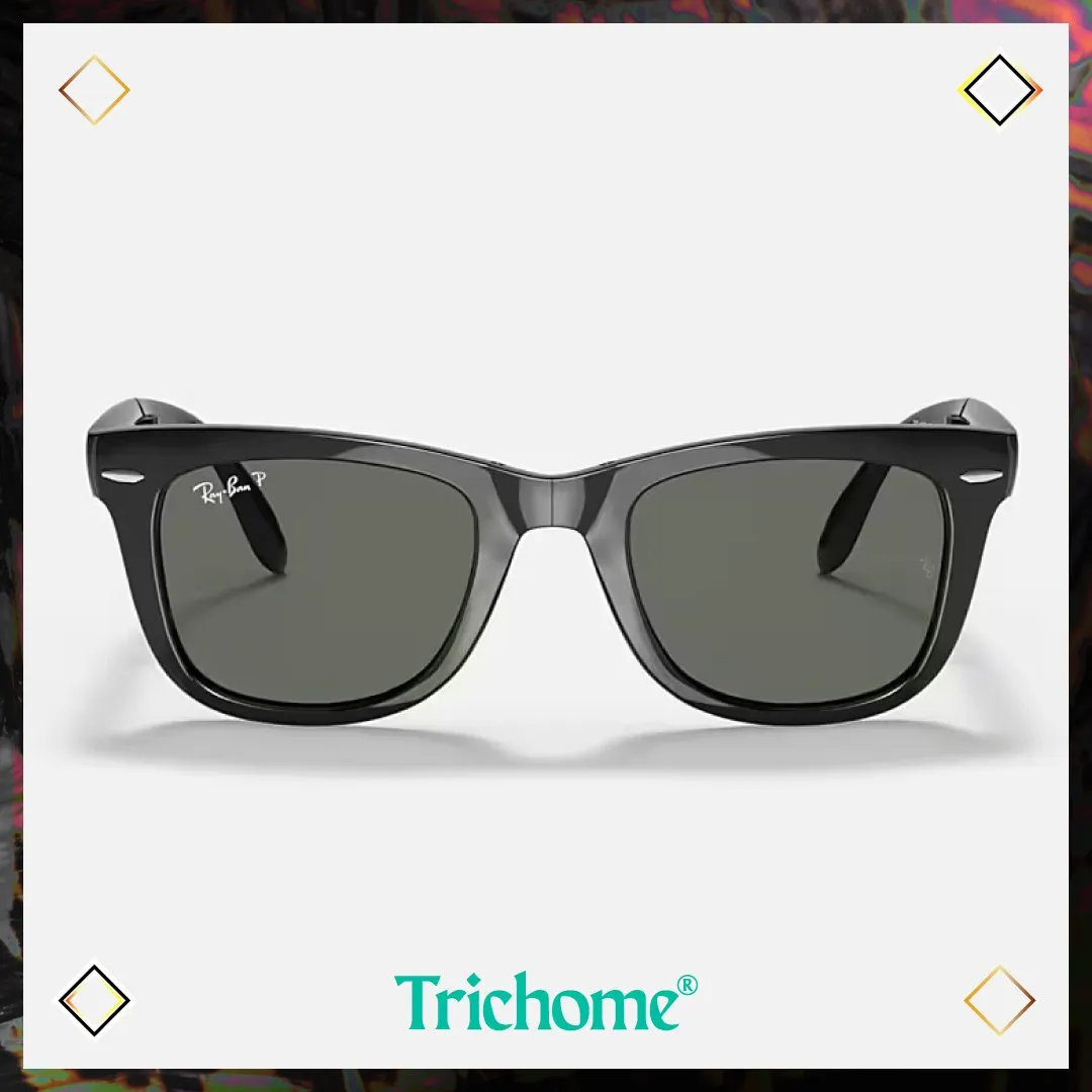Wayfarer Folding Classic