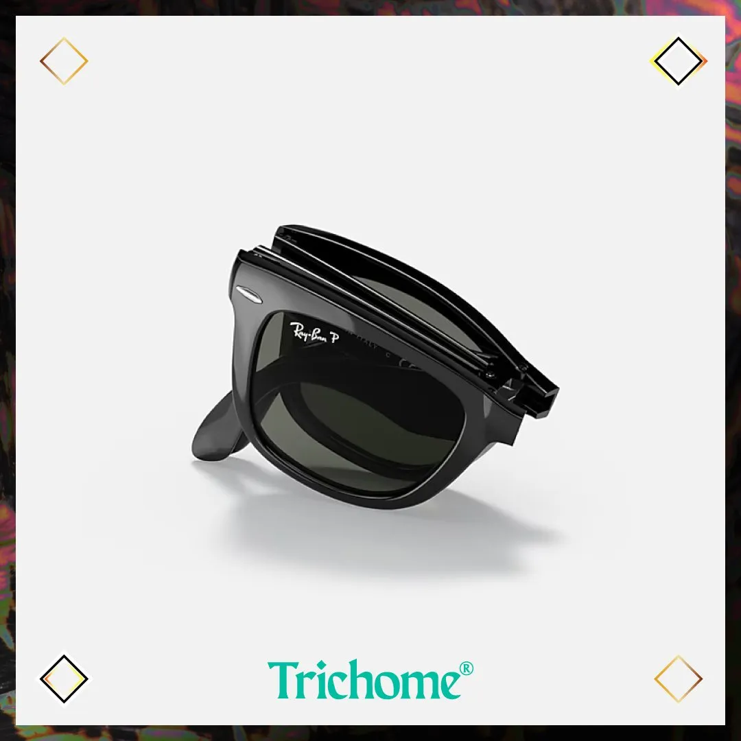 Wayfarer Folding Classic